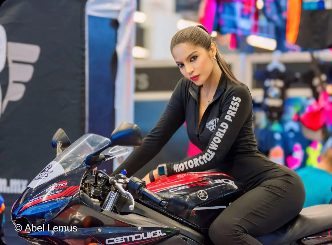 Portfolio Dayanna  T.